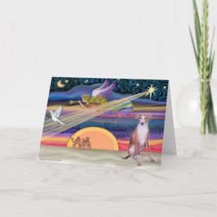 Estrella Navidad - Whippet 7