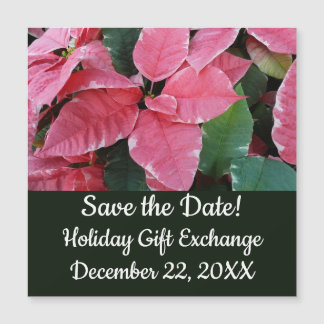 Estrella plateada Marble Poinsettias rosado Guarda