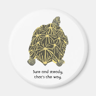 Estrella tortoise, afirmación, imanes Sure & Stead