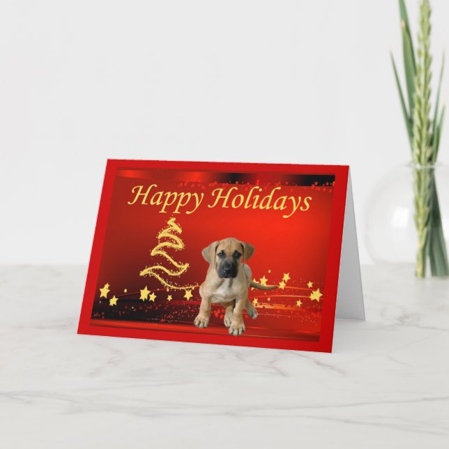 Estrellas de la tarjeta de Navidad de great dane (Anverso)