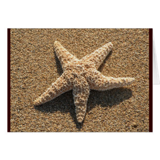 Estrellas de mar en la playa