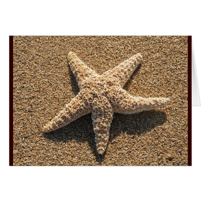 Estrellas de mar en la playa (Anverso (Horizontal))