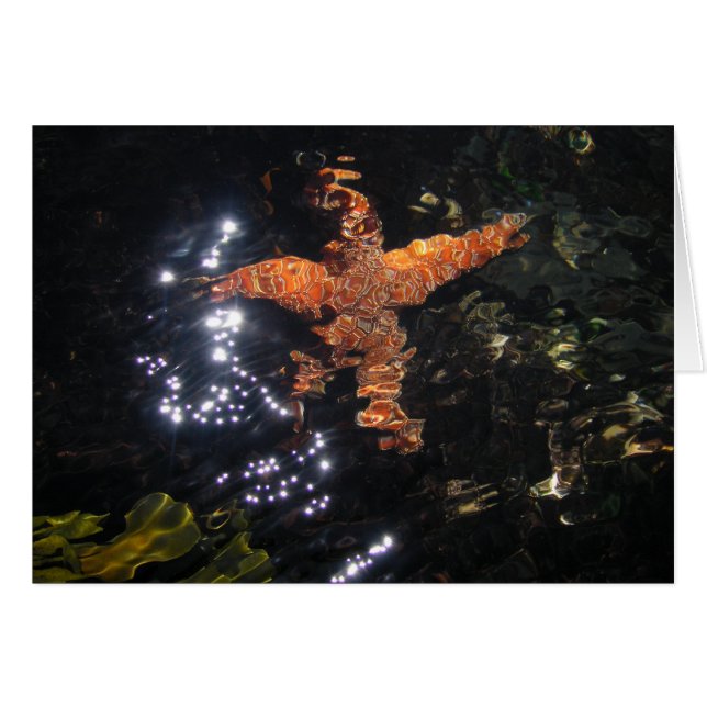 Estrellas de mar en Tidepool (Anverso (Horizontal))