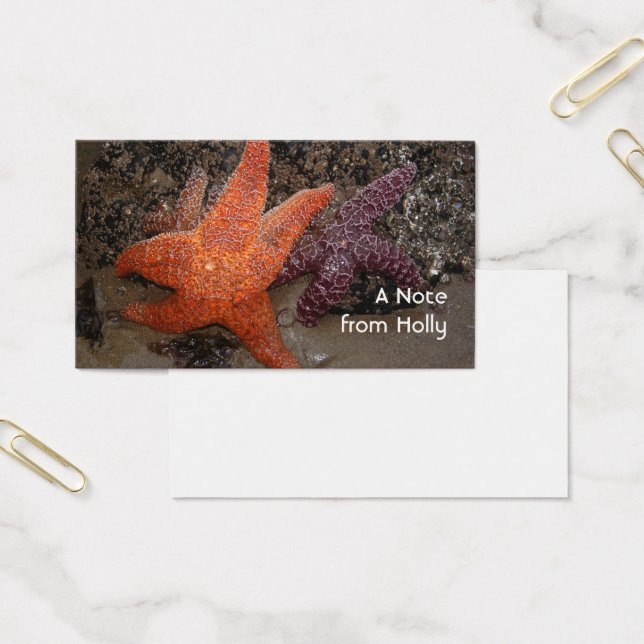 Estrellas de mar/estrellas de mar, playa del cañón (Oficina)