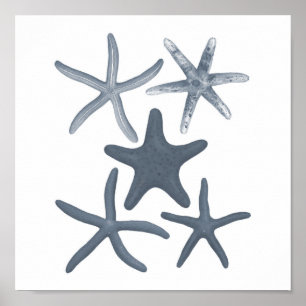 Estrellas de mar grises de la impresión #3 de