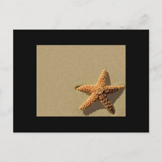 Estrellas de mar tropical y la invitación