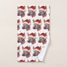 Estrellas de Navidades de raza de perros sin pelo 