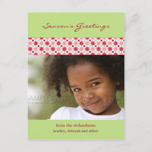 Estrellas del Amaryllis:: Postal de la foto del