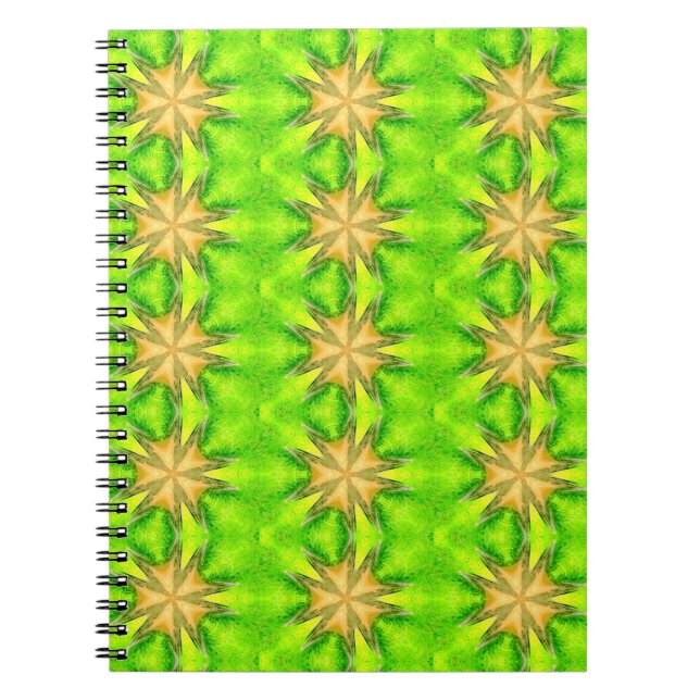 estrellas doradas en cuaderno verde (Frente)