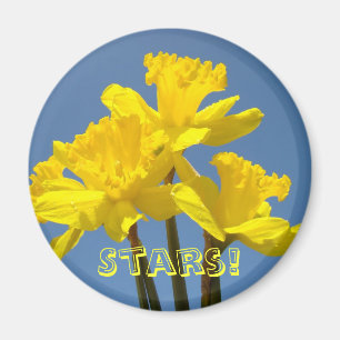 ¡Estrellas! Narcisos amarillos imanes Cielo azul f