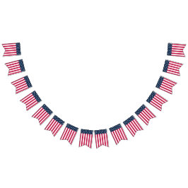 Estrellas y bandas clásicas de la bandera de los E