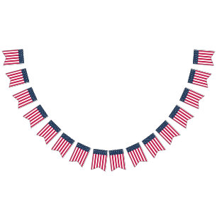 Estrellas y bandas clásicas de la bandera de los E