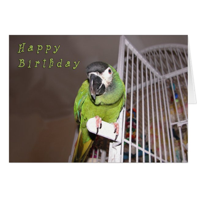 Estrellazo del diablo (Anverso (Horizontal))