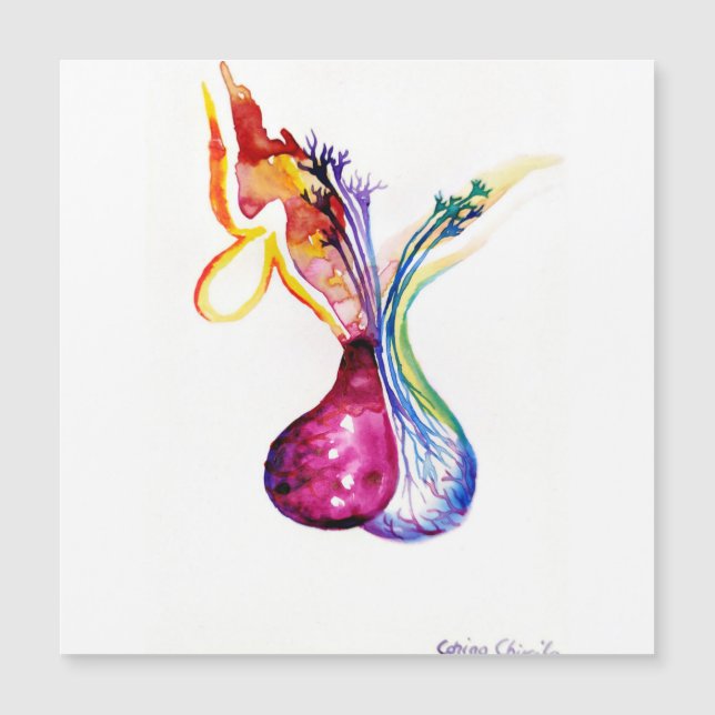 Estructura de la hipófisis (Anverso)