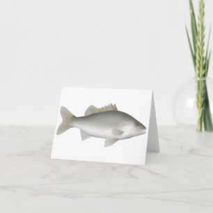 Estuario Perch