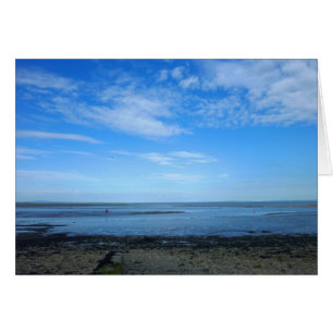 Estuario severo en Penarth