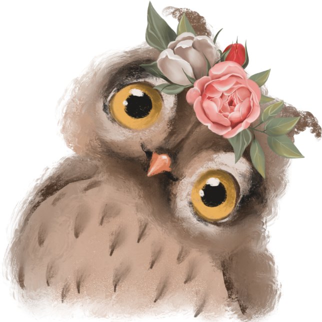 Estuche para iPhone para Funda de Bebé Lechuza (Subido por el creador)