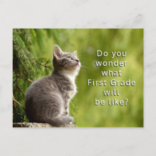 Estudiantes Cute Kitten de primaria reciben postal