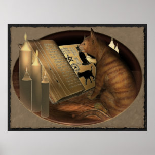 Estudiar la impresión de las lecciones del gato