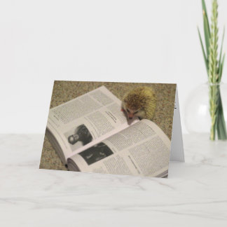 Estudiar la tarjeta de la graduación del erizo