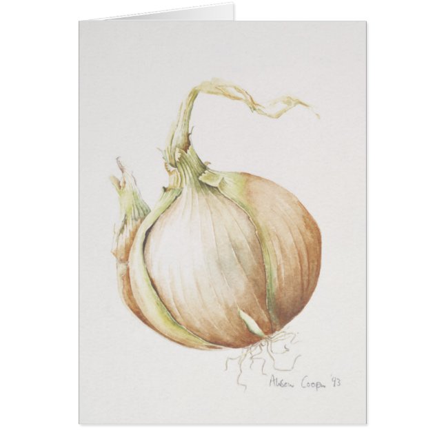 Estudio 1993 de la cebolla (Frente)