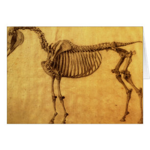 Estudio acabado el   de George Stubbs para el