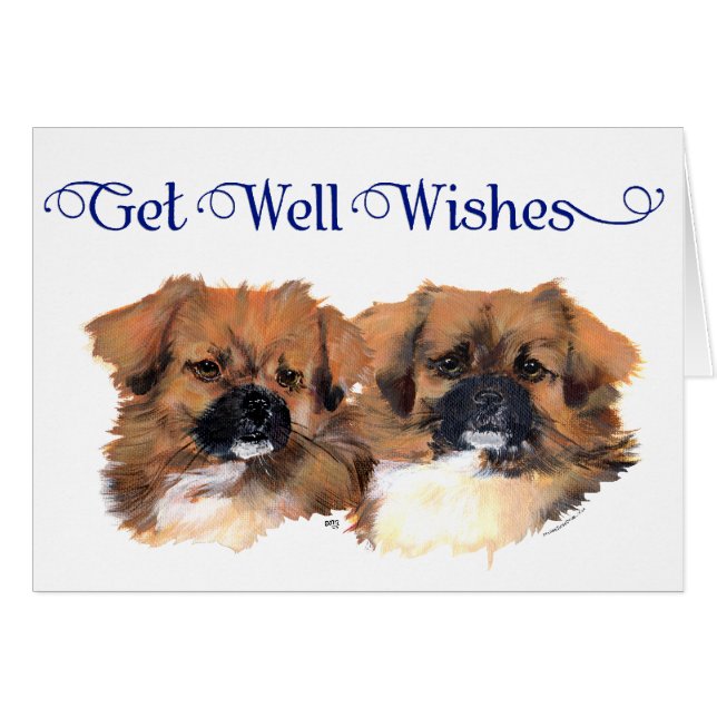 Estudio de cabeza de los españoles tibetanos (Anverso (Horizontal))