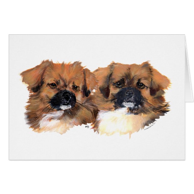 Estudio de la cabeza de Spaniels Tibetanos (Anverso (Horizontal))