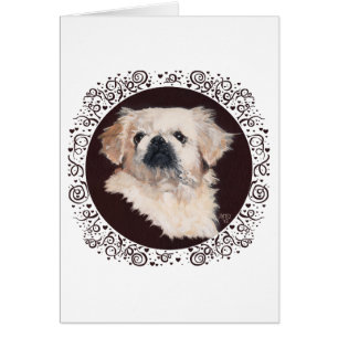 Estudio de la cabeza del Pekín blanco