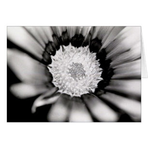 Estudio de la flor