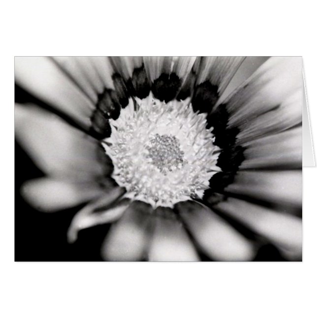 Estudio de la flor (Anverso (Horizontal))