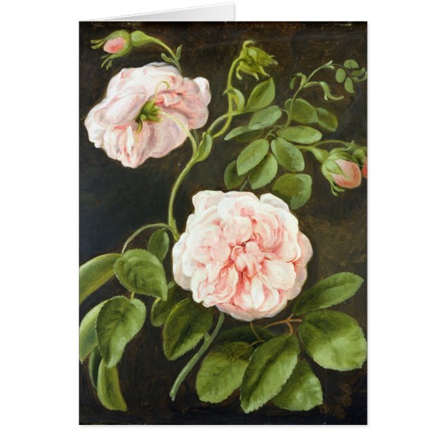 Estudio de la flor (Frente)