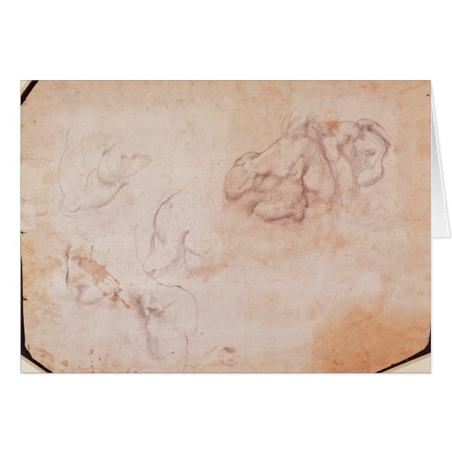 Estudio de músculos (Anverso (Horizontal))