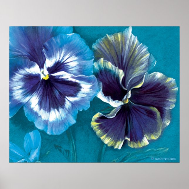 Estudio de Pansy poster floral de arte fino (Frente)