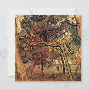 Estudio de Pinos por Vincent van Gogh