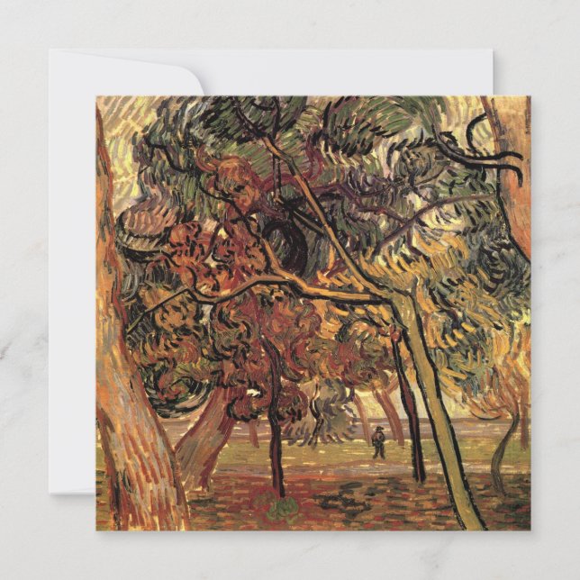 Estudio de Pinos por Vincent van Gogh (Anverso)