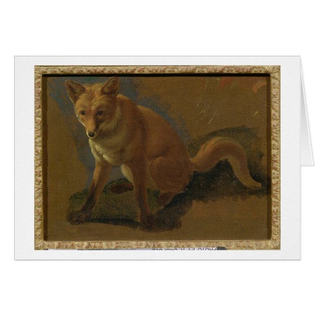 Estudio de un Fox (aceite en el panel) (Anverso (Horizontal))