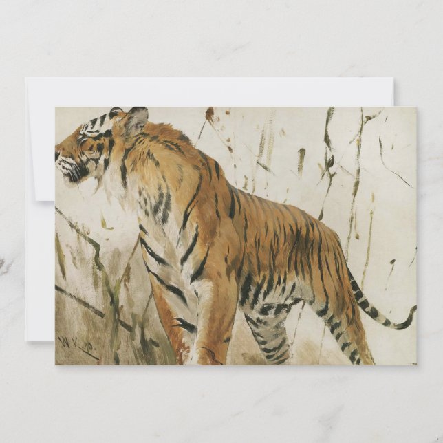 Estudio de un tigre | Wilhelm Kuhnert (Anverso)