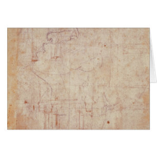 Estudio de una cabeza, 1525-26