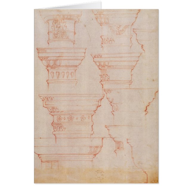 Estudio de W.18v de los capitales de columna (Frente)