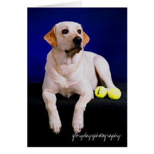 estudio del marinero, glorydaysphotography