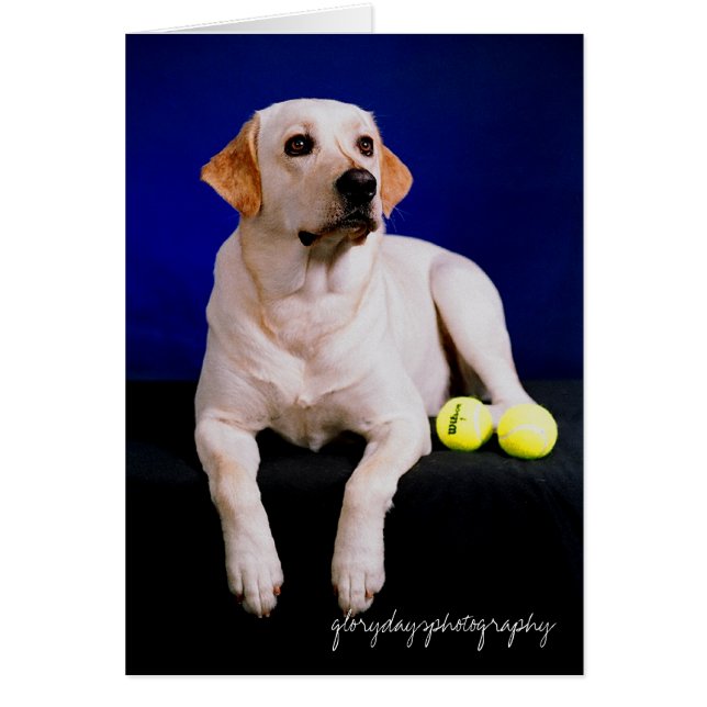 estudio marinero, glorydaysphotografía (Frente)