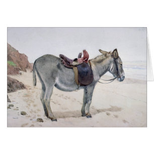 Estudios de animales