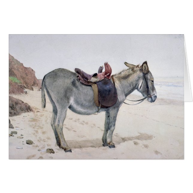 Estudios de animales (Anverso (Horizontal))