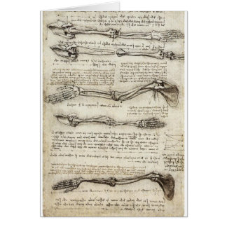 Estudios del brazo de Leonardo da Vinci C. 1510