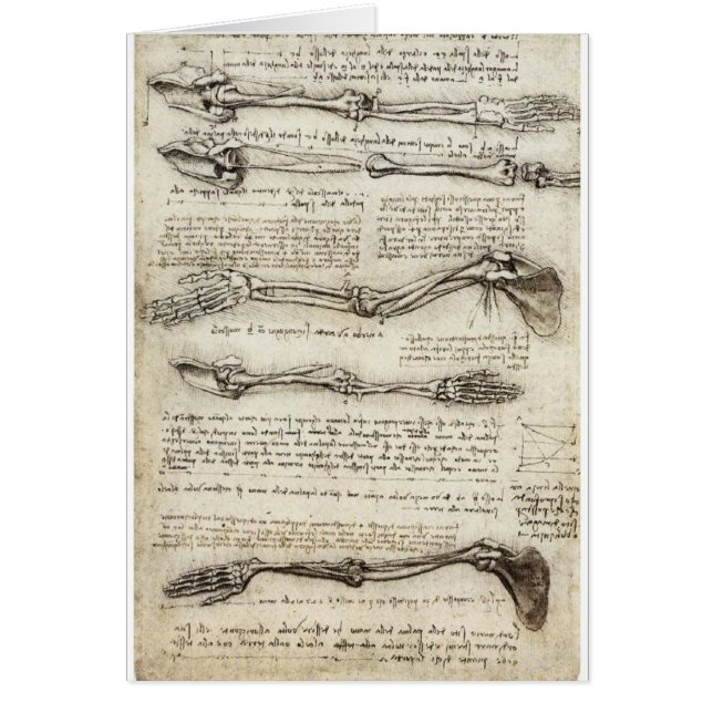 Estudios del brazo de Leonardo da Vinci C. 1510 (Frente)
