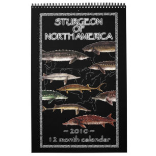 Esturión del calendario de Norteamérica 2010