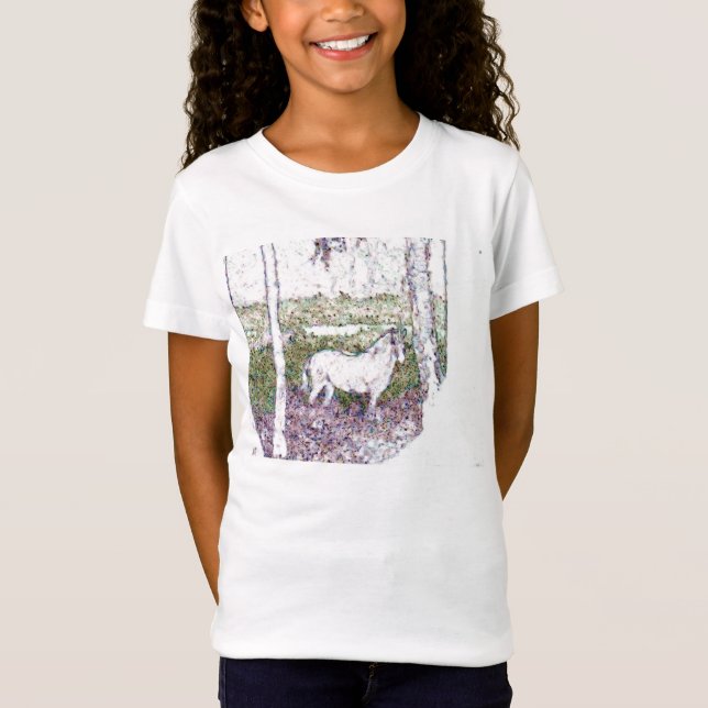 Eterna camiseta de primavera (Anverso)