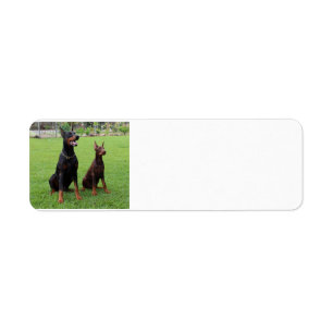 Etiqueta 2 dobies.png