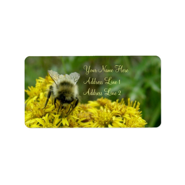 Etiqueta Abeja en Goldenrod, Solidago (Frente)